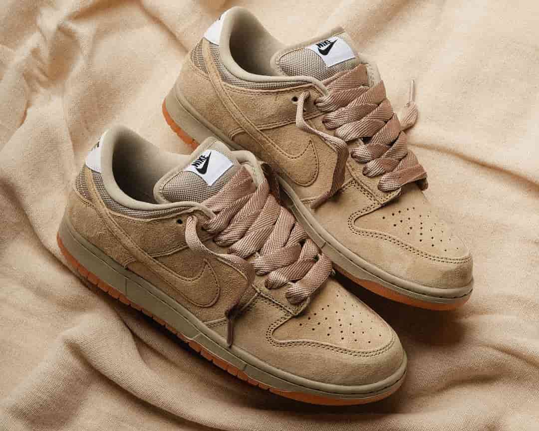 Nike SB Dunk Low Pro B Skate Shoes