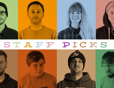 Staff Picks 2013