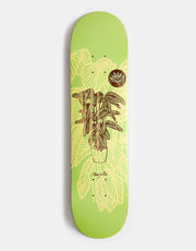 Magenta Power Plant Skateboard Deck