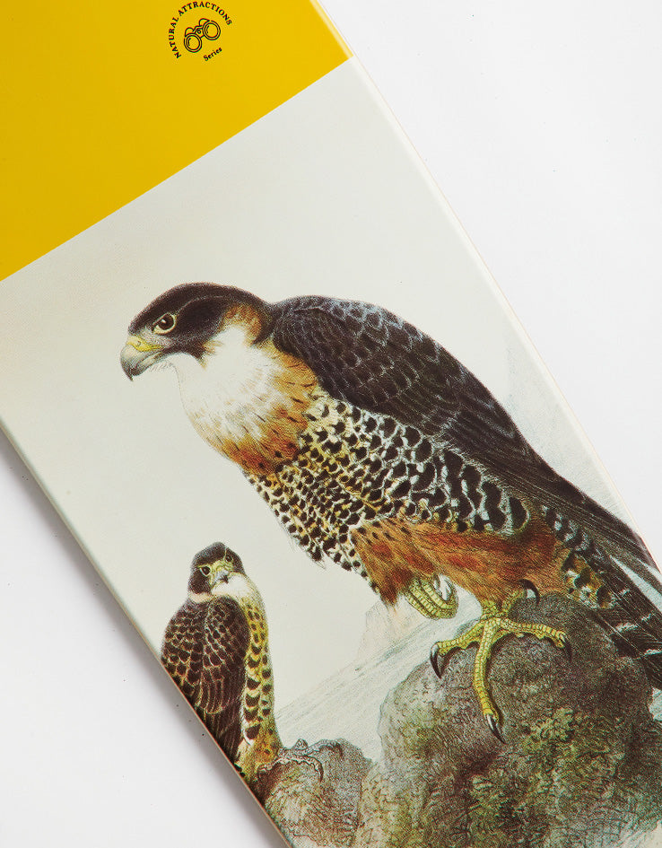 Globe Pintail 34 Falcon Longboard - 33.5" x 8"