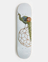Magenta Valls Zoo Series Skateboard Deck