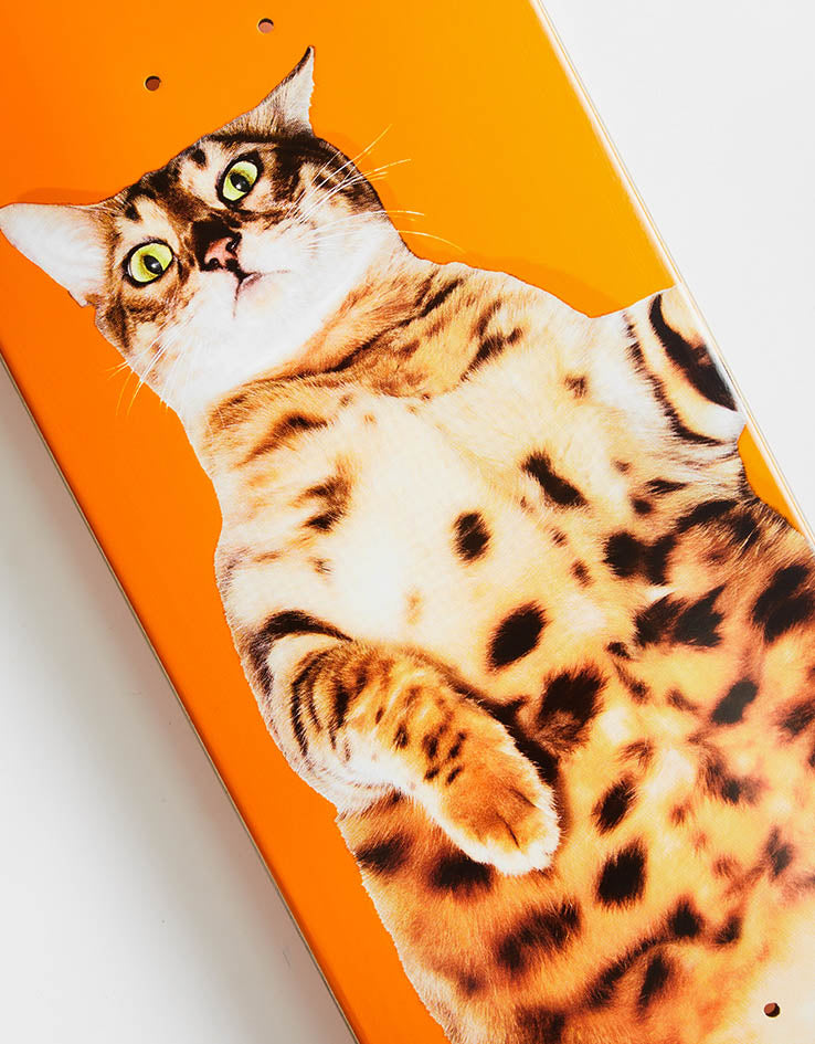 Enjoi Pulizzi Catnip R7 Skateboard Deck
