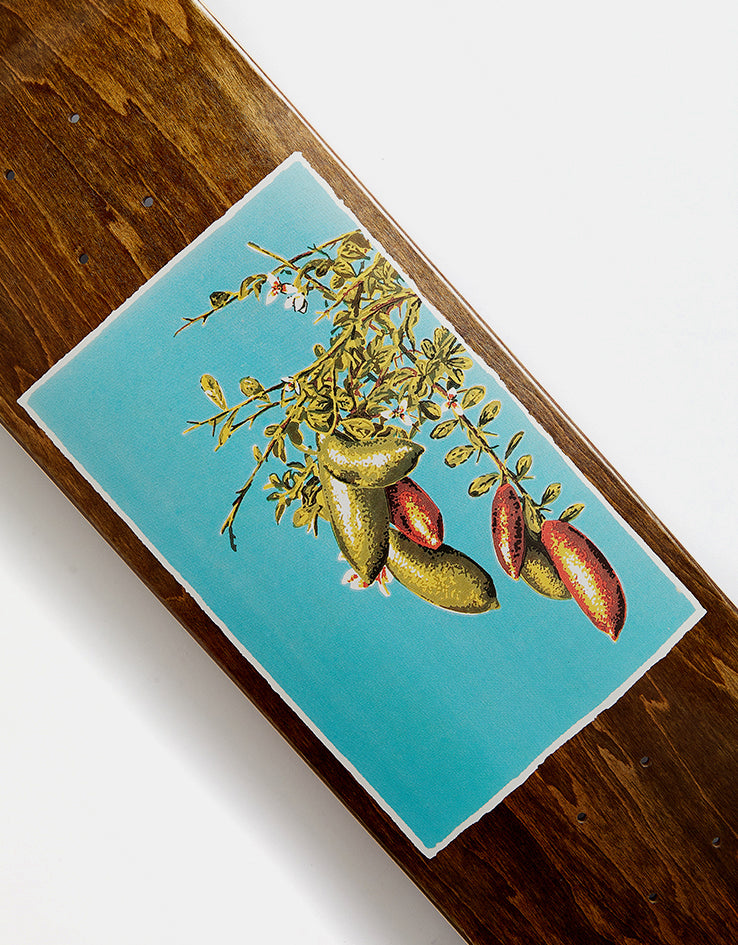 Pass Port Lime Native Fruit Series Skateboard Deck - 8.25"