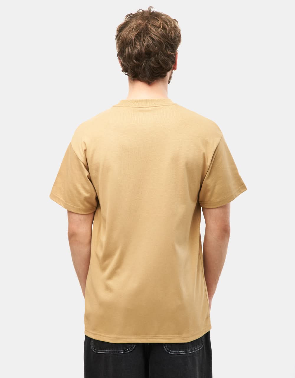 Carhartt WIP Fragments Pocket T-Shirt - Dusty Hamilton Brown/Black