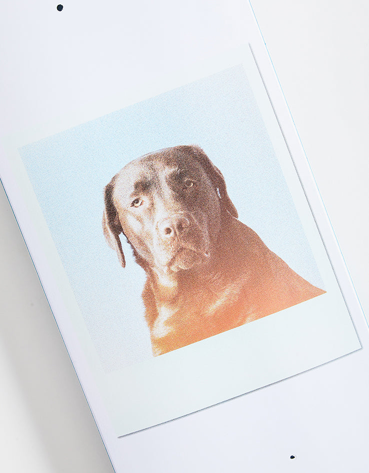 Jart Instant Film Skateboard Deck - 8.375"