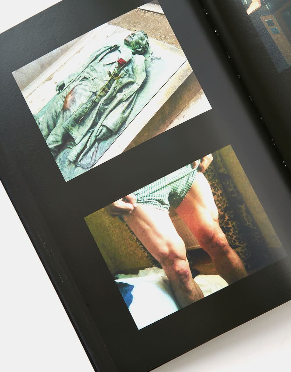 The Beautiful Flower Is the World by Jerry Hsu Hardback Book