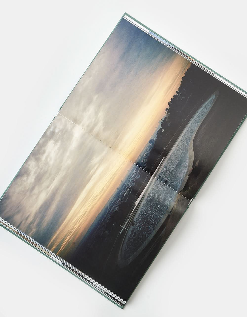 Party at the Back by Tino Razo Hardback Book