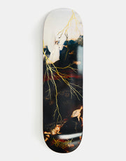 Welcome Rapture on Popsicle Skateboard Deck - 8.75"