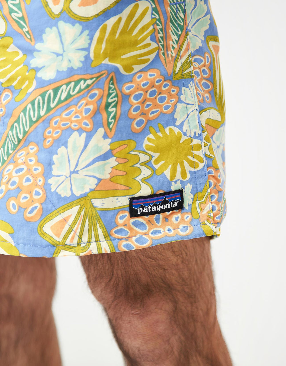 Patagonia Baggies 5" Shorts - Flourish: Abundant Blue