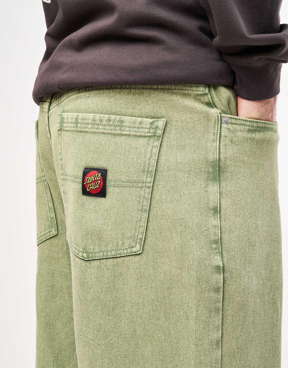 Santa Cruz Big Pants - Iguana