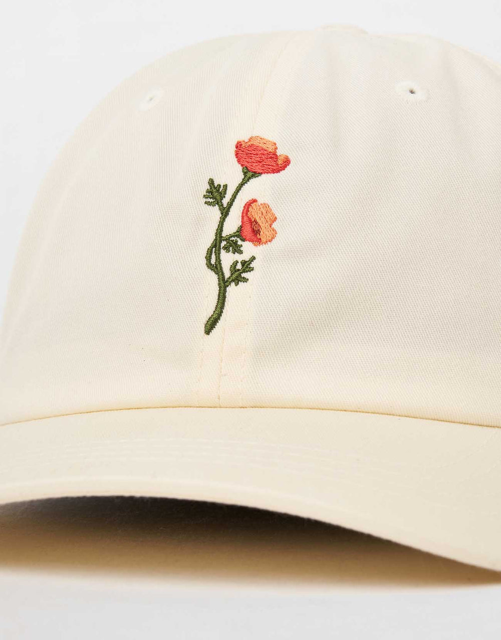 Stance Standard Adjustable Cap - Canvas