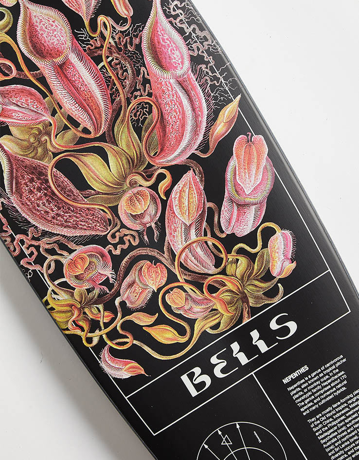 Globe Bells Pitcher Longboard - 34" x 8.5"