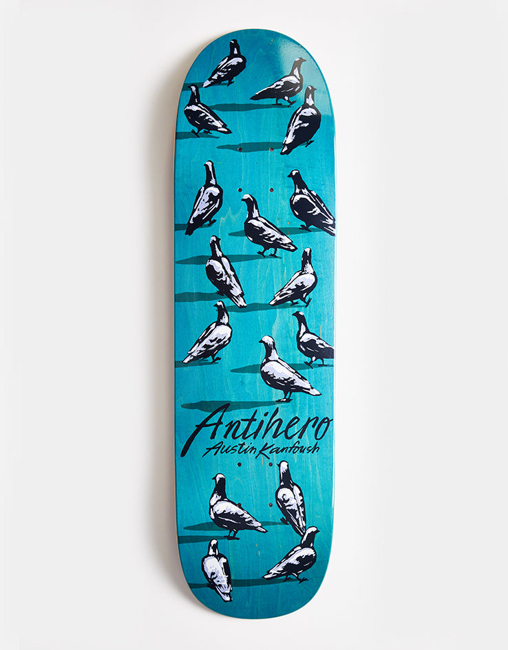 Anti Hero Kanfoush Dawn of the Pigeon Skateboard Deck - 8.55"
