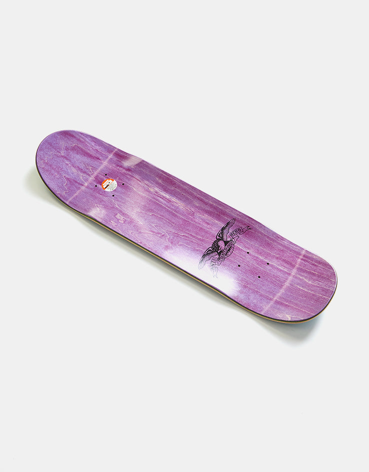 Anti Hero Kanfoush Dawn of the Pigeon Skateboard Deck - 8.55"