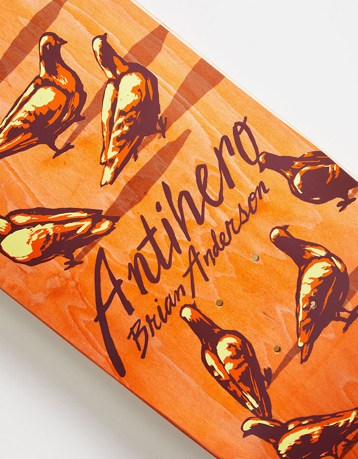 Anti Hero B.A. Dawn of the Pigeon Skateboard Deck - 8.8"