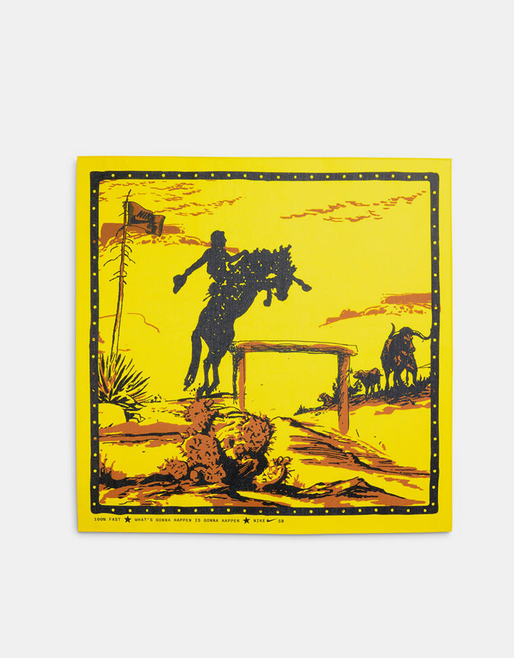 Nike SB 'Rodeo' Dunk Low Pro QS Skate Shoes - Tourmaline/Baroque Brown-Monarch