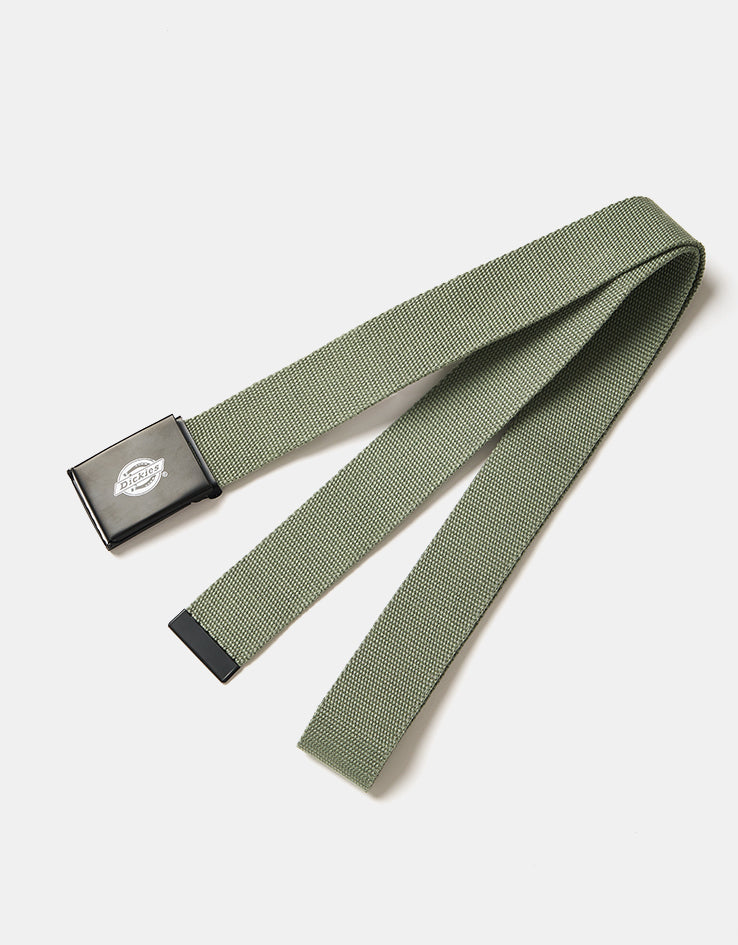 Dickies Orcutt Web Belt - Sea Spray