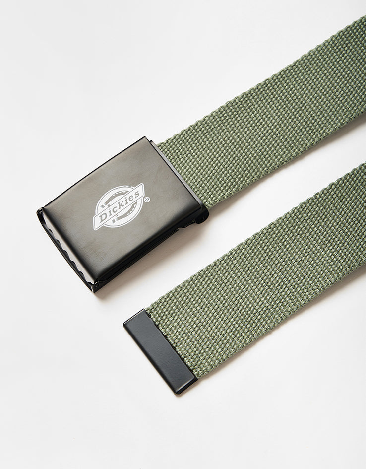 Dickies Orcutt Web Belt - Sea Spray