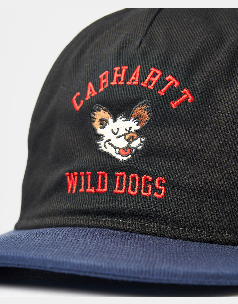 Carhartt WIP Wild Dog Cap - Black