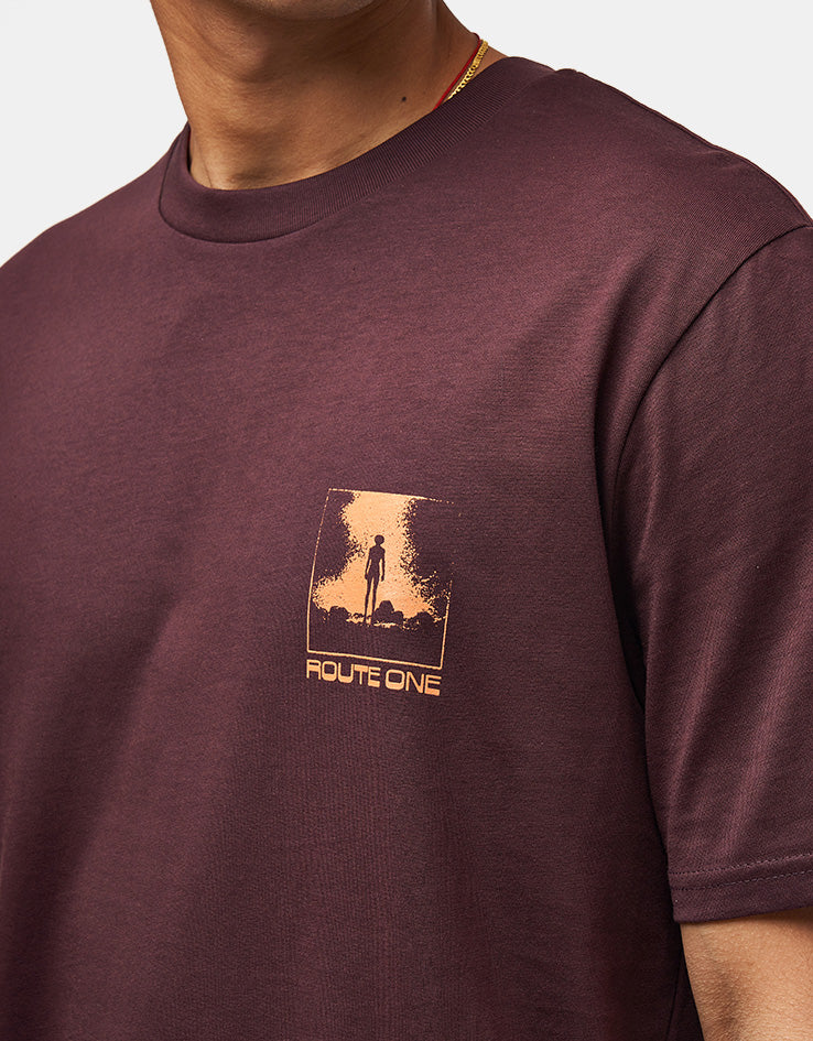 Route One Unknown Signals Organic T-Shirt - Red Brown