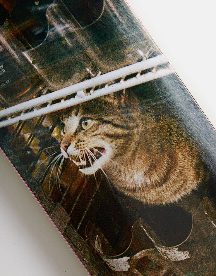 GX1000 Bodega Cat Skateboard Deck - 8.5"