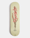 Pass Port Callum Pink Heath Reissue Skateboard Deck - 8.25"